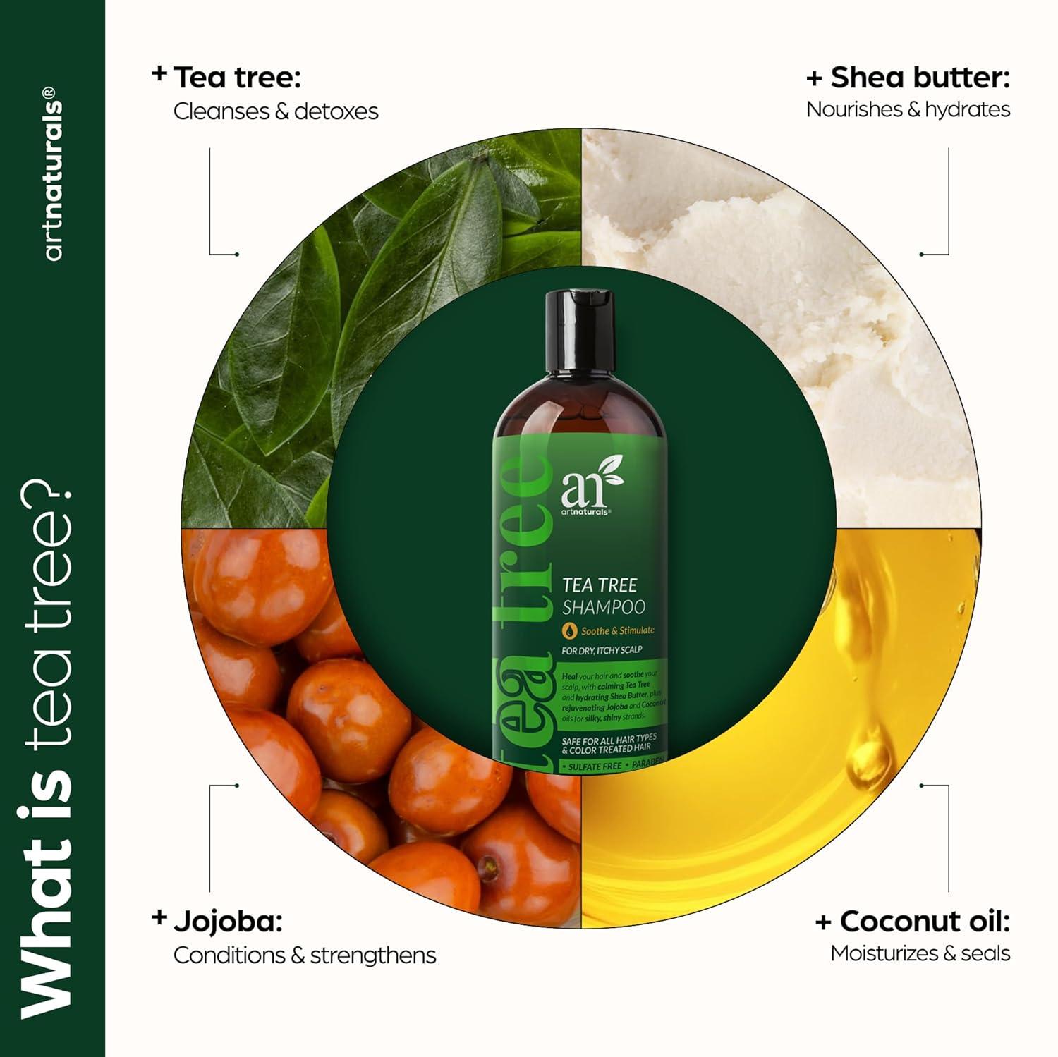 imageArtnaturals Tea Tree Shampoo 16 Fl Oz 473ml Sulfate Free Made with 100 Pure Therapeutic Grade Tea Tree Essential Oil16 Fl Oz Pack of 1