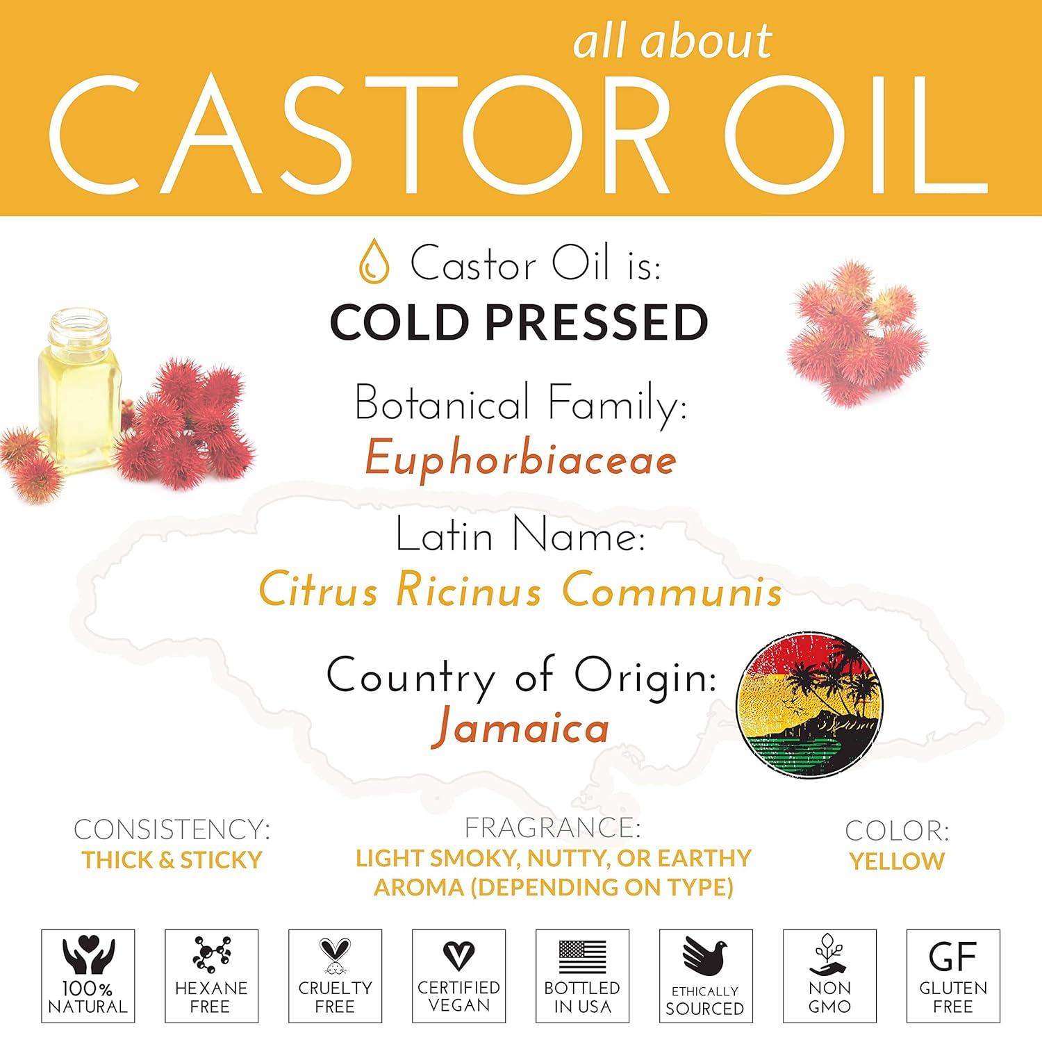 imageartnaturals Organic Rosemary Castor Hair Growth Oil 16 Fl Oz 473ml with Coconut ampamp Olive Oil Invigorating Nourishing Treatment for Hair ampamp Scalp Targeting Dryness Damaged Hair