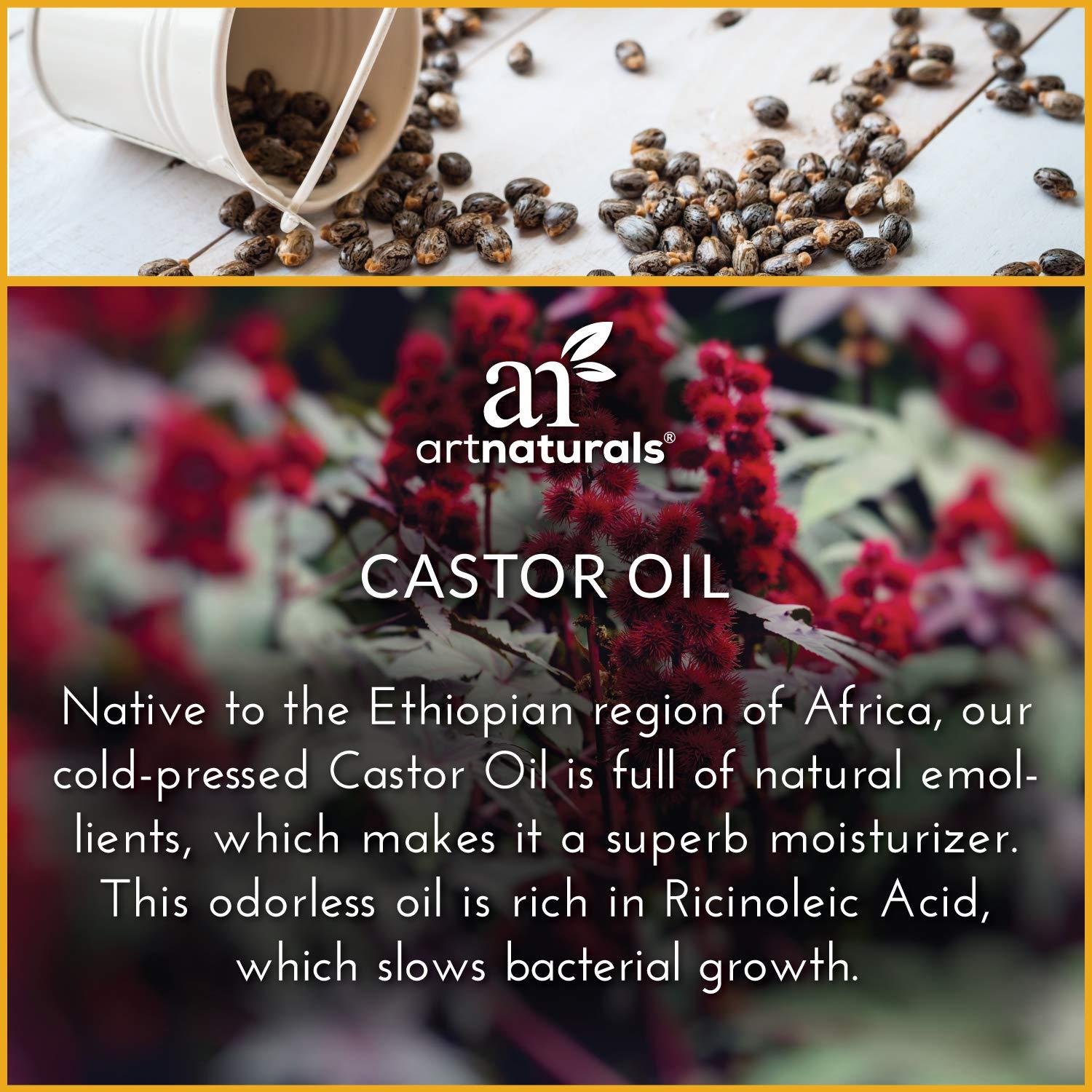 imageartnaturals Organic Rosemary Castor Hair Growth Oil 16 Fl Oz 473ml with Coconut ampamp Olive Oil Invigorating Nourishing Treatment for Hair ampamp Scalp Targeting Dryness Damaged Hair