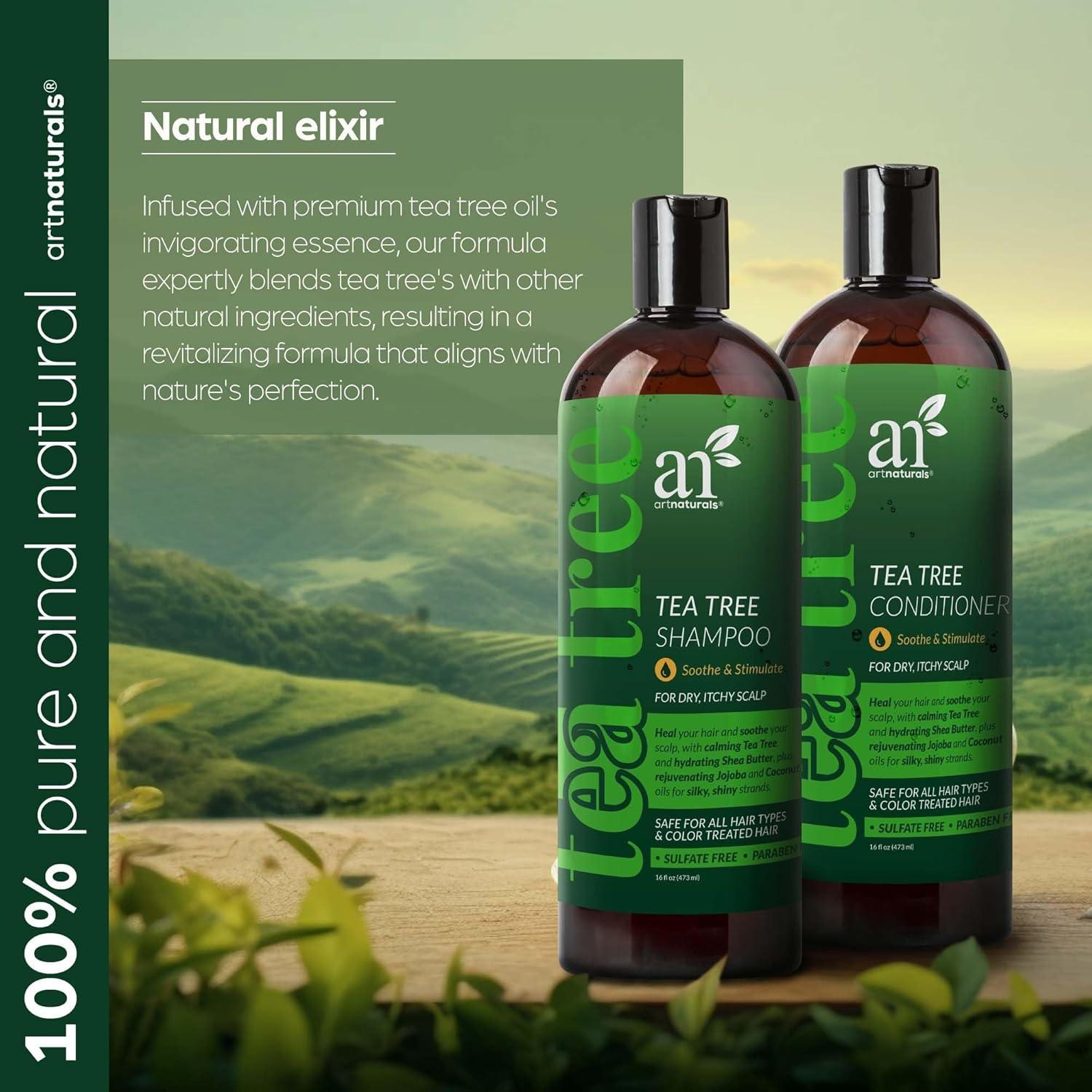 imageartnaturals Tea Tree Shampoo and Conditioner Set 2 x 16 Fl Oz 473ml Sulfate Free Therapeutic Grade Tea Tree Essential Oil Deep Cleansing for Dandruff Lice Dry Scalp and Itchy Hair