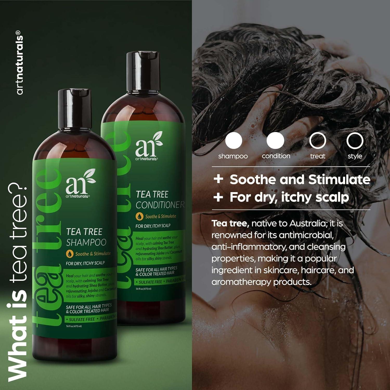 imageartnaturals Tea Tree Shampoo and Conditioner Set 2 x 16 Fl Oz 473ml Sulfate Free Therapeutic Grade Tea Tree Essential Oil Deep Cleansing for Dandruff Lice Dry Scalp and Itchy Hair