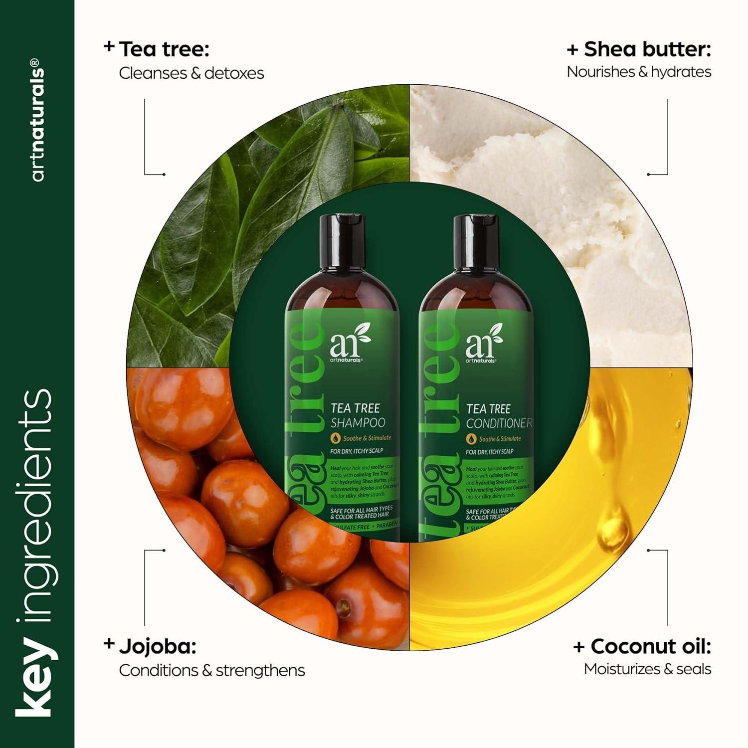 imageartnaturals Tea Tree Shampoo and Conditioner Set 2 x 16 Fl Oz 473ml Sulfate Free Therapeutic Grade Tea Tree Essential Oil Deep Cleansing for Dandruff Lice Dry Scalp and Itchy Hair