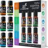 imageArtNaturals Aromatherapy Top6 Essential Oil Set  6 x 10ml Bottles  100 Pure of The Highest Therapeutic Grade  Premium Gift Set  Lavender Peppermint Tea Tree Eucalyptus