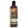 imageArtnaturals CoconutLime Daily Shampoo  16 Fl Oz  Professional Deep Hydrating Moisturizing For Curly Fine Oily Dry Damaged and Color Treated Hair