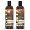 imageartnaturals CoconutLime Shampoo and Conditioner Set  2 x 16 Fl Oz  473ml  Professional Deep Hydrating Moisturizing For Curly Fine Oily Dry Damaged and Color Treated Hair  Natural Sulfate Free