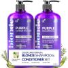imageartnaturals Purple Shampoo and Conditioner Set  2 x 16 Fl Oz  473ml  Protects Balances and Tones  Bleached Color Treated Silver Brassy and Blonde Hair  Sulfate Free